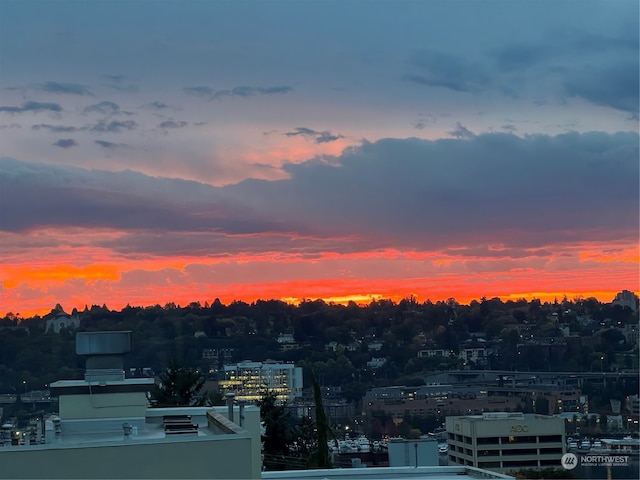 property's view of city