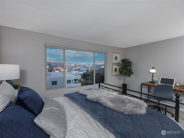 view of carpeted bedroom