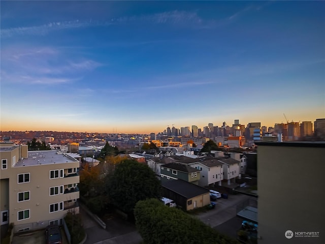 1250 Taylor Ave N Unit 205, Seattle, WA 98109 - skyline view