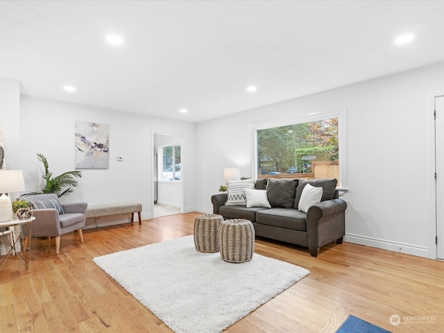 living room with a wealth of natural light and light hardwood / wood-style flooring