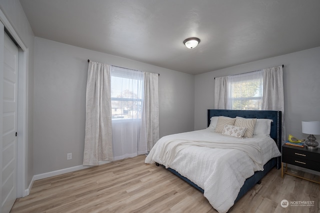 bedroom featuring wood-type flooring and a closet