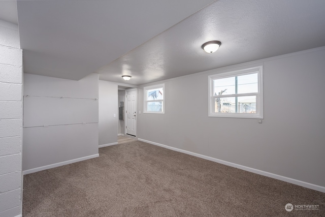 basement with a textured ceiling and carpet flooring