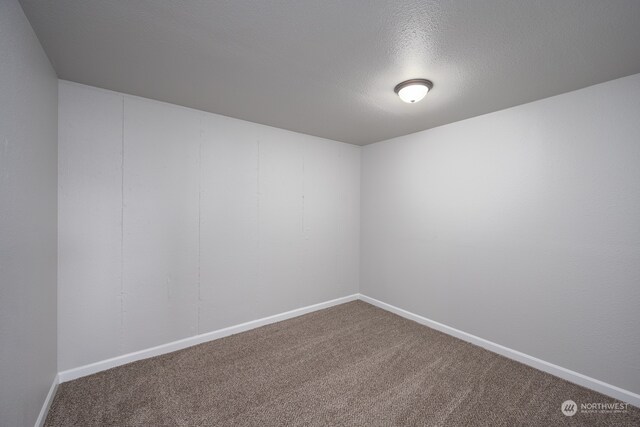 carpeted spare room featuring a textured ceiling