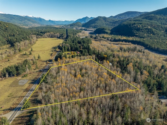 0 Park Junction Rd E, Elbe, WA 98330