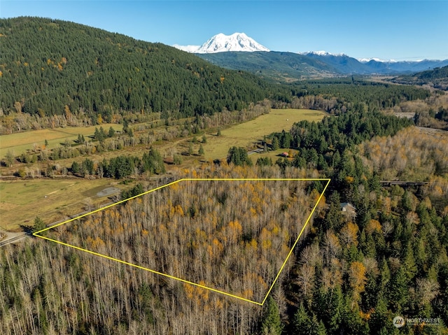 0 Park Junction Rd E, Elbe, WA 98330