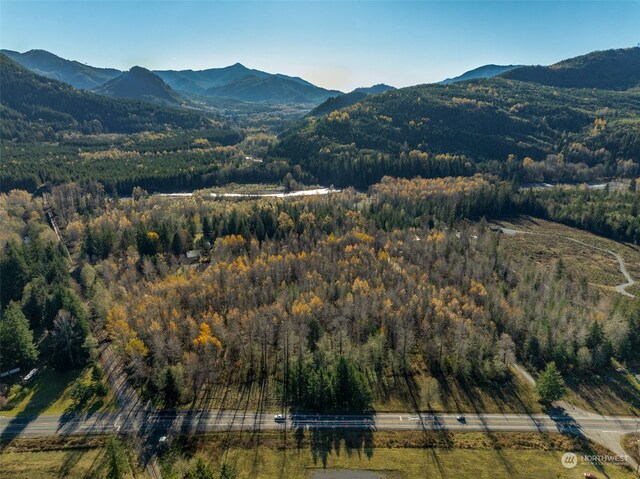 0 Park Junction Rd E, Elbe, WA 98330