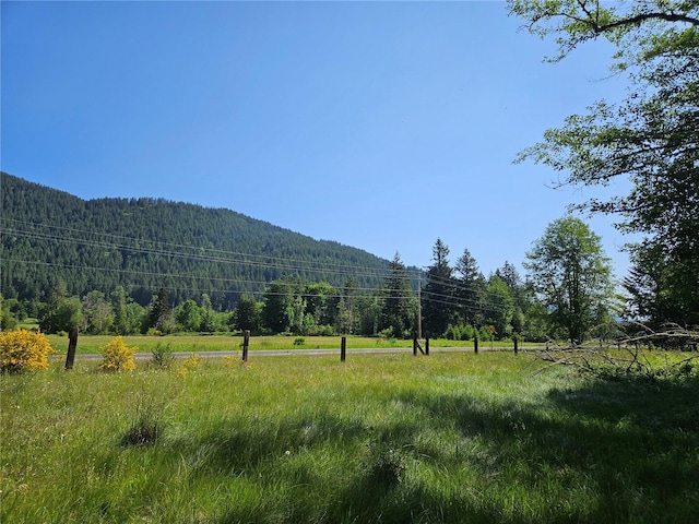 0 Park Junction Rd E, Elbe, WA 98330