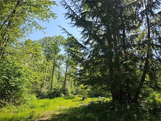 0 Park Junction Rd E, Elbe, WA 98330
