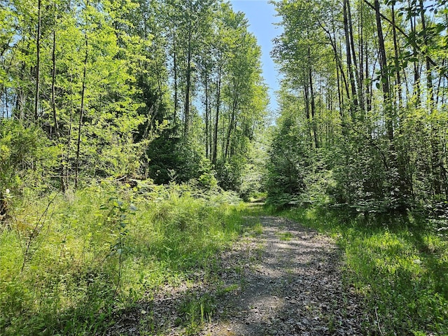0 Park Junction Rd E, Elbe, WA 98330