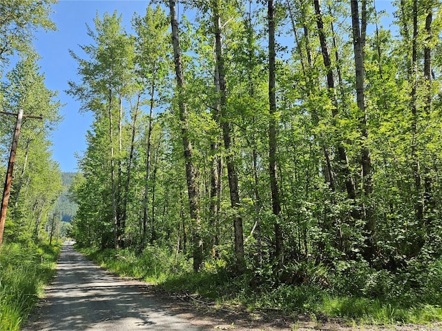 0 Park Junction Rd E, Elbe, WA 98330