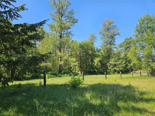 0 Park Junction Rd E, Elbe, WA 98330