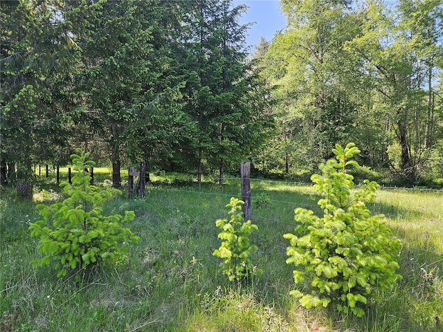 0 Park Junction Rd E, Elbe, WA 98330