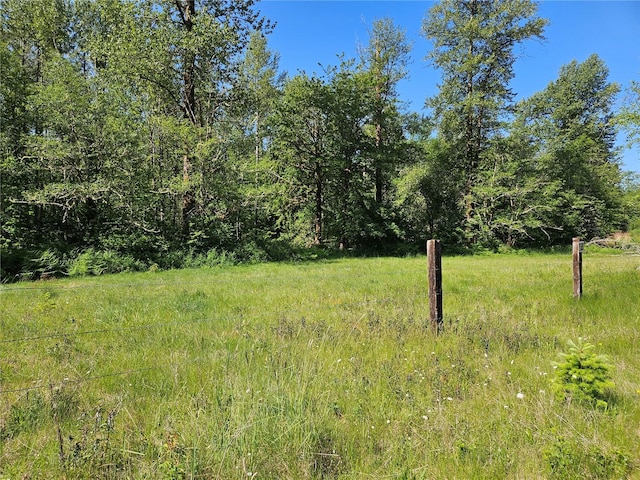 0 Park Junction Rd E, Elbe, WA 98330