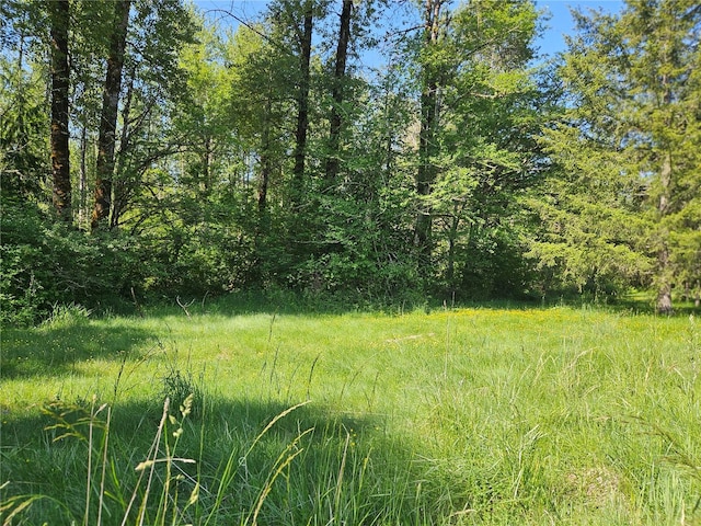 0 Park Junction Rd E, Elbe, WA 98330