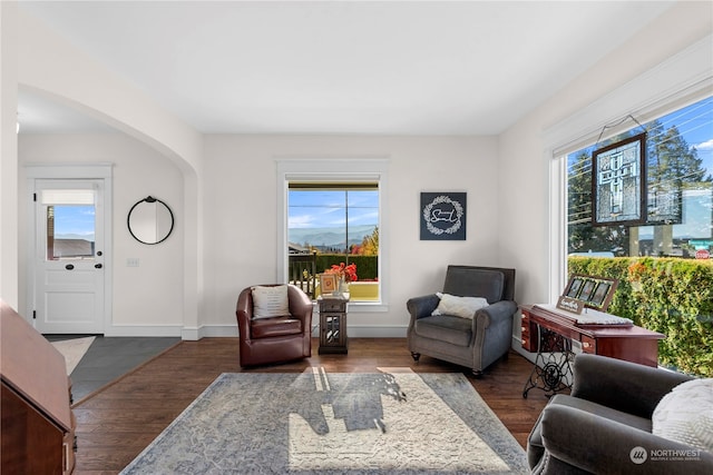 interior space featuring dark wood-type flooring and plenty of natural light