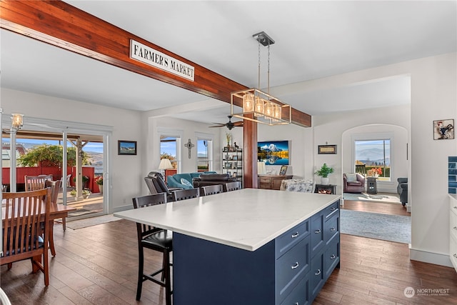 kitchen with a healthy amount of sunlight and dark hardwood / wood-style floors