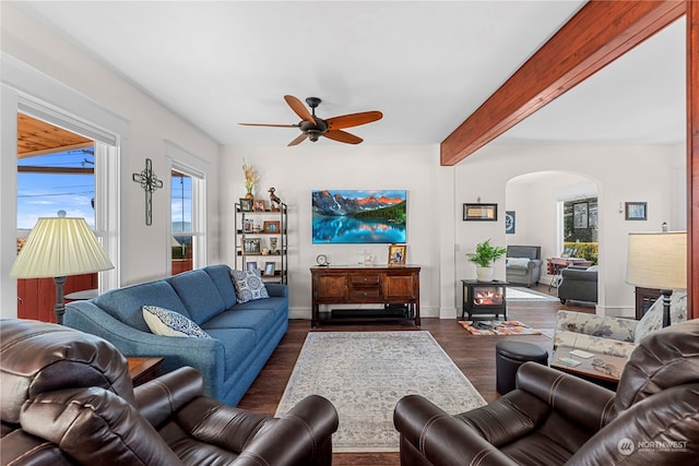 living room with ceiling fan, dark hardwood / wood-style floors, a healthy amount of sunlight, and beam ceiling