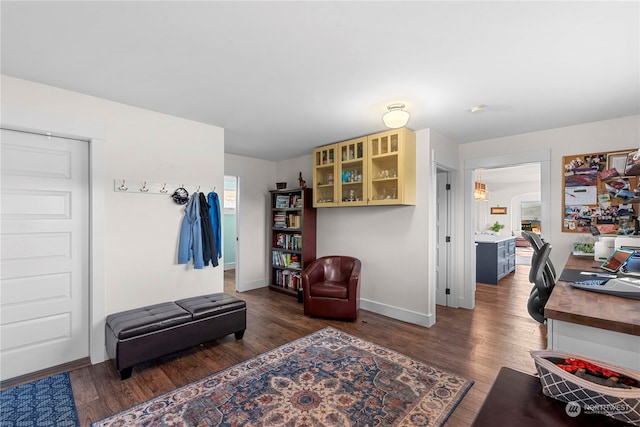 living area with dark hardwood / wood-style flooring