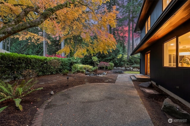 view of yard with a patio