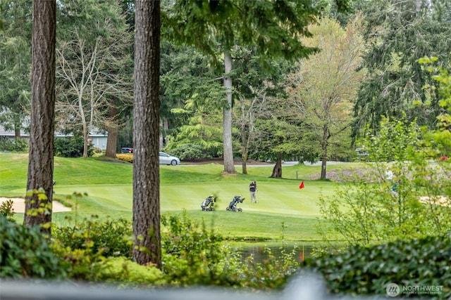 surrounding community featuring golf course view and a yard