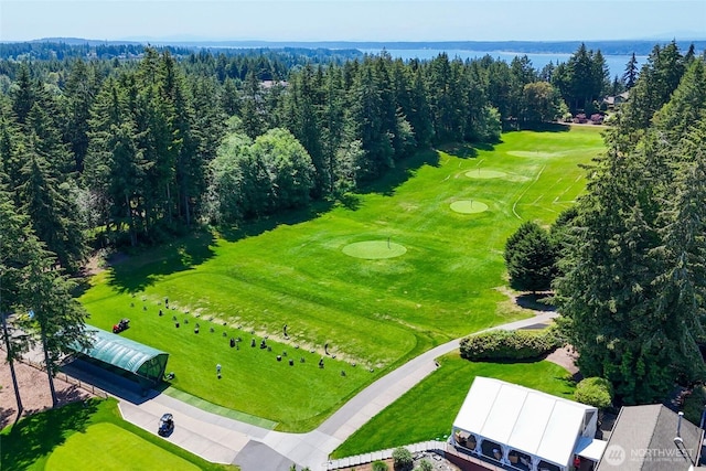 drone / aerial view featuring view of golf course and a forest view