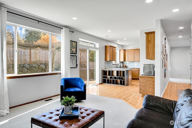 living room featuring light hardwood / wood-style flooring and sink