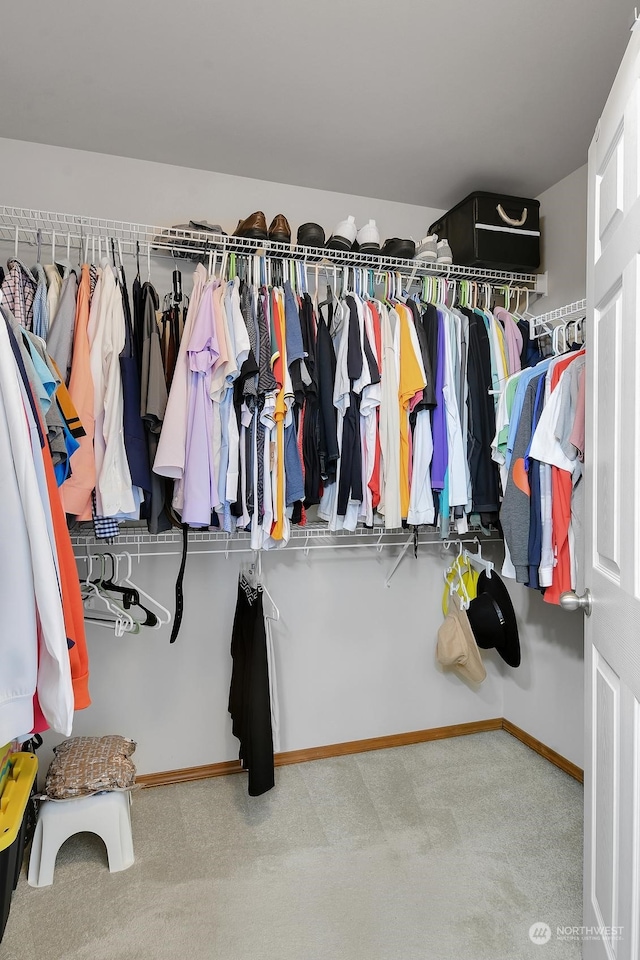 spacious closet featuring carpet flooring