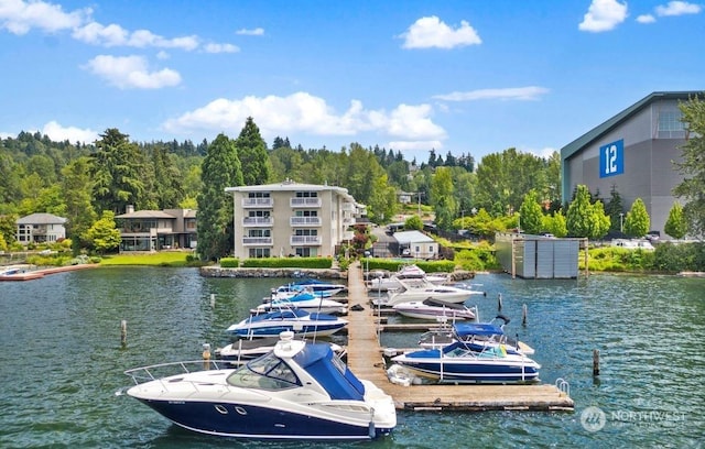 5021 Ripley Ln N Unit 112, Renton, WA 98056 - dock with a water view