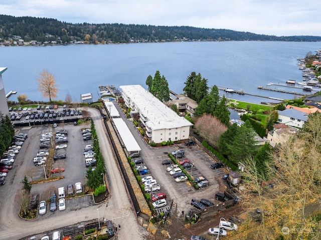 5021 Ripley Ln N Unit 112, Renton, WA 98056 - bird's eye view of a large body of water and a heavily wooded area