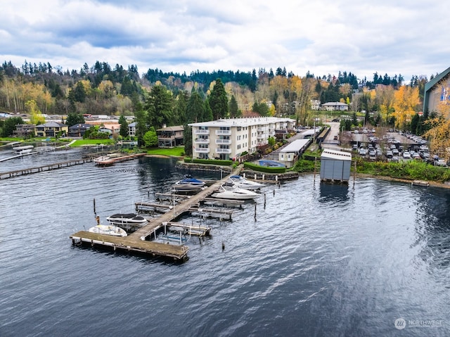 property view of water featuring a boat dock