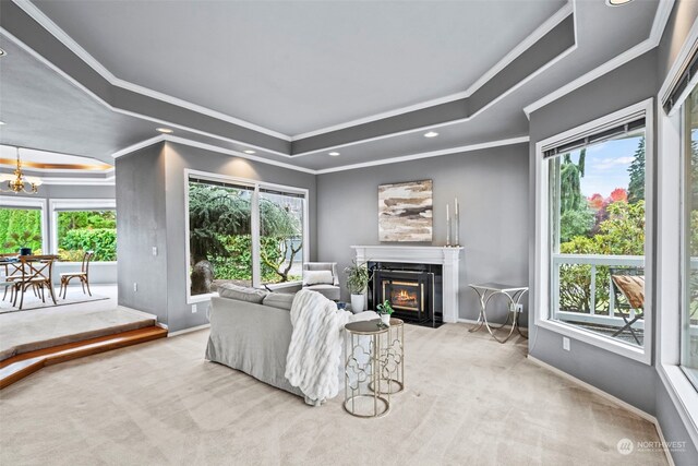 carpeted living room with ornamental molding, plenty of natural light, and a raised ceiling