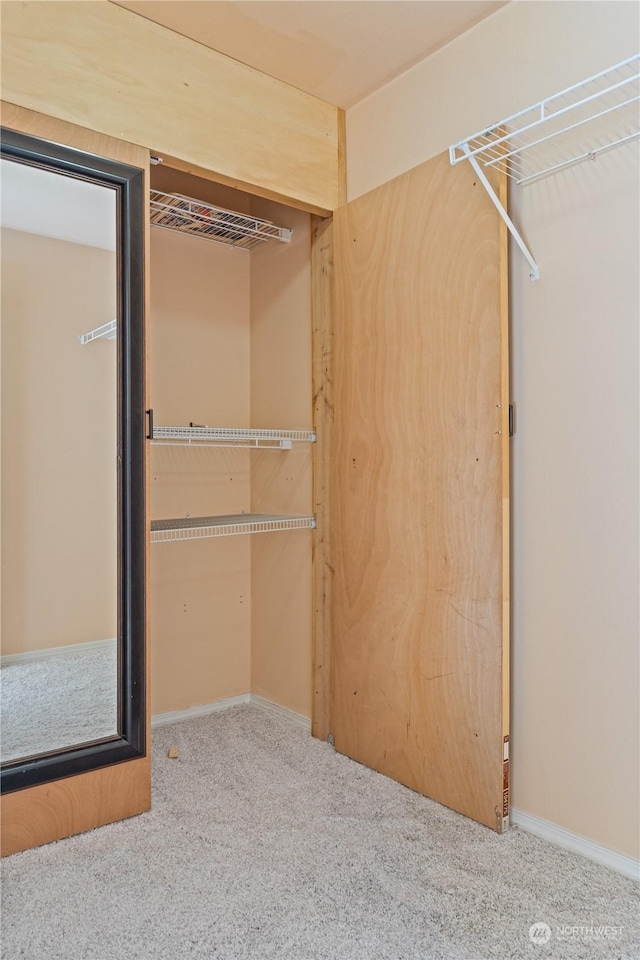 walk in closet with carpet flooring