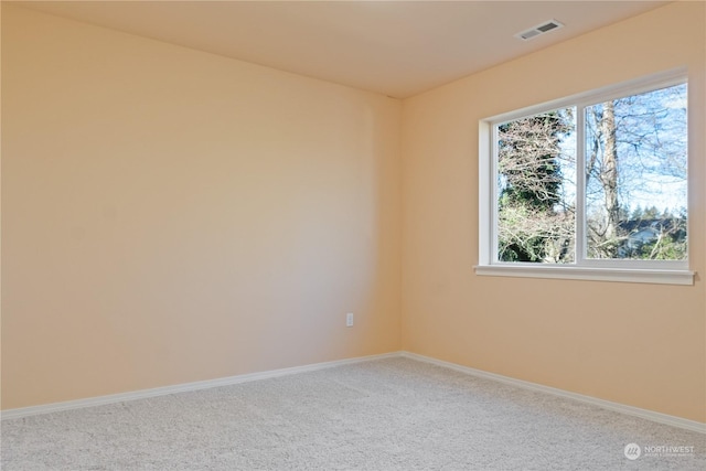 carpeted empty room featuring a healthy amount of sunlight