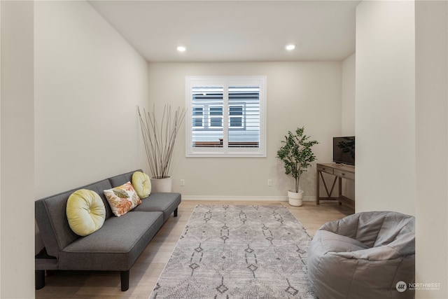 living room featuring light hardwood / wood-style flooring