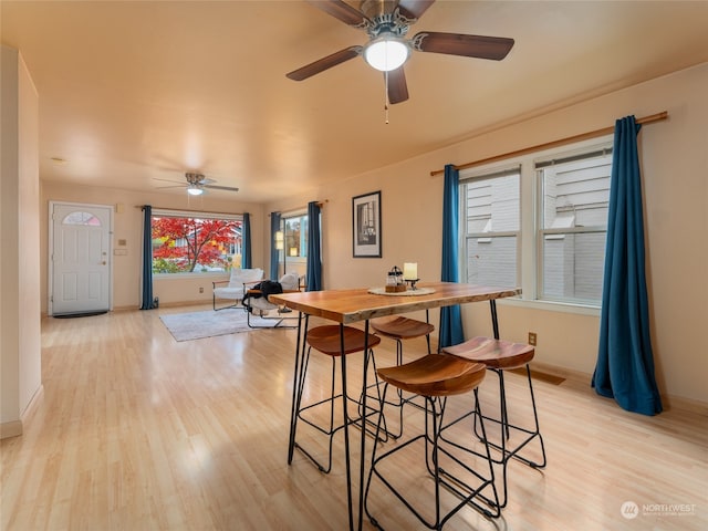 dining room with ceiling fan and light hardwood / wood-style floors