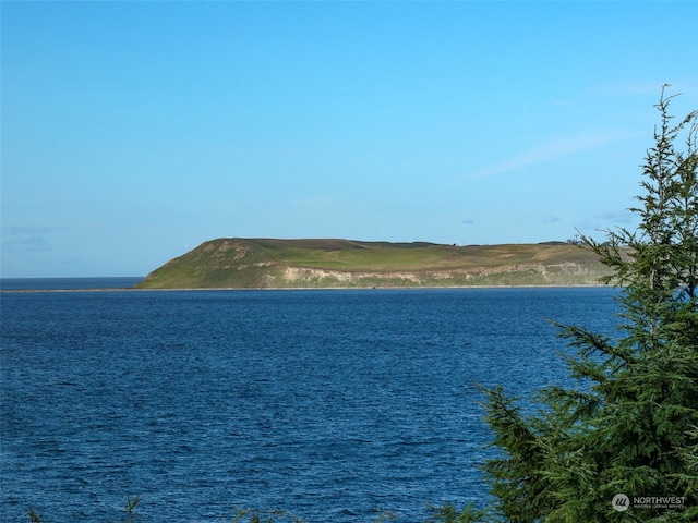 water view featuring a mountain view