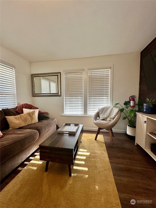 living room with a wealth of natural light and dark hardwood / wood-style floors