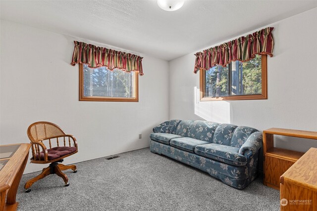 living area with carpet floors