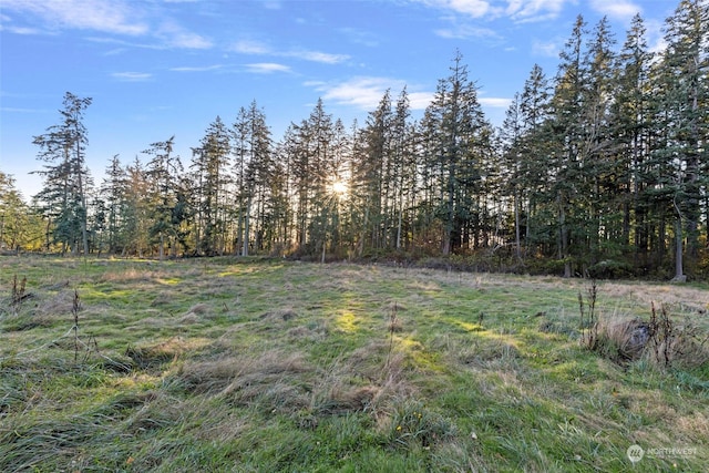 288 Torrence Ln, Oak Harbor, WA 98277 - view of yard featuring a wooded view