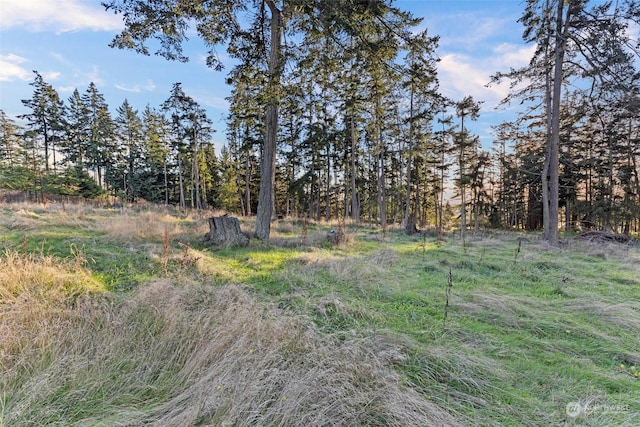 288 Torrence Ln, Oak Harbor, WA 98277 - view of nature
