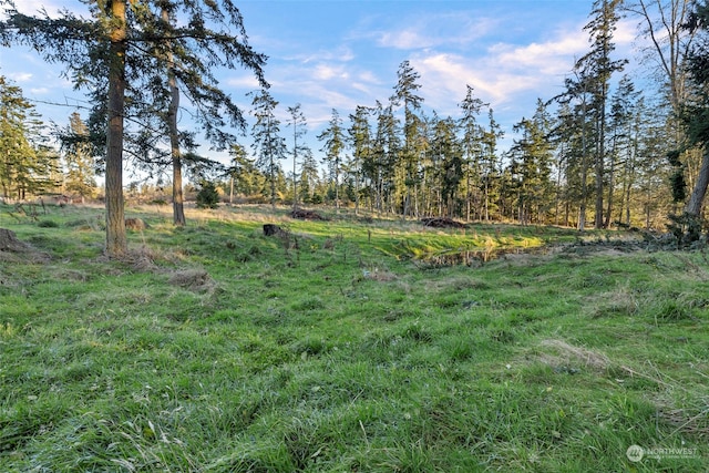 view of local wilderness