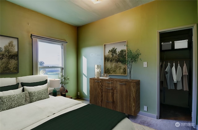 bedroom with a walk in closet, light carpet, and a closet