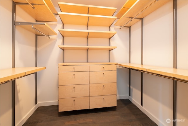 spacious closet with dark hardwood / wood-style flooring