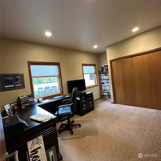 office area featuring light carpet