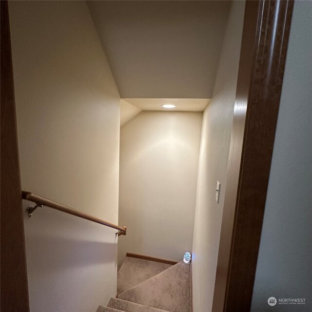 stairs with carpet floors and vaulted ceiling