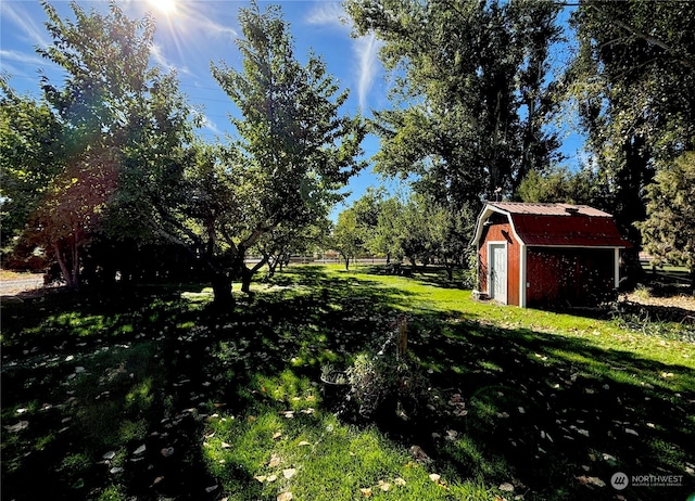 view of yard featuring a storage shed