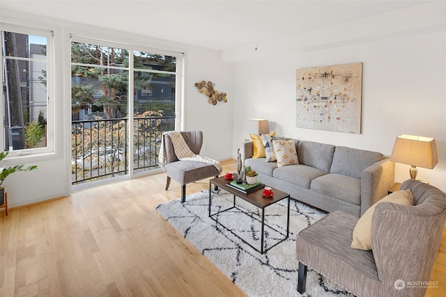 living room featuring plenty of natural light and light hardwood / wood-style flooring