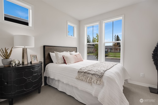 bedroom with carpet flooring