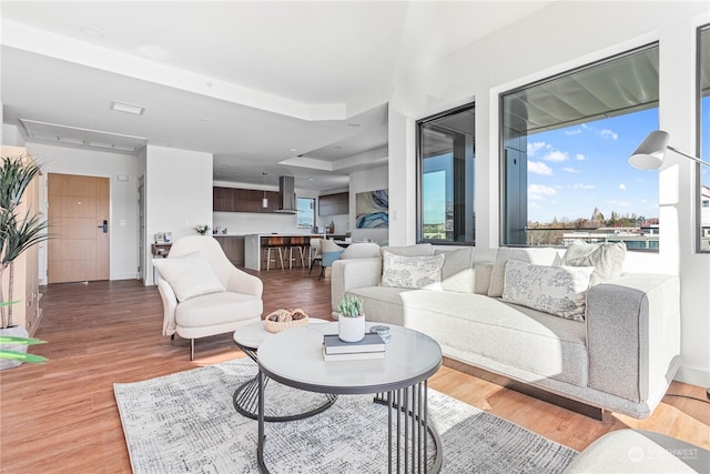 1025 Granary Ave Unit 305, Bellingham, WA 98225 - living area featuring light wood-style floors