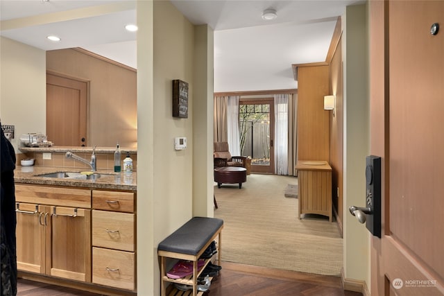 bathroom featuring sink and wood-type flooring